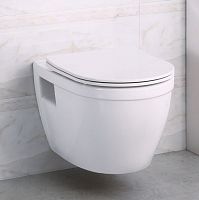 унитаз подвесной, беозободковый, сиденье дюропласт, микролифт, loto bb070chr/sc belbagno аквацентр липецк