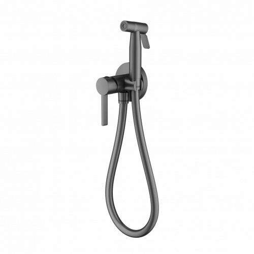 смеситель с гигиеническим душем, встраиваемый, графит, s221.52.09 splenka аквацентр липецк смеситель с гигиеническим душем, встраиваемый, графит, s221.52.09 splenka аквацентр липецк